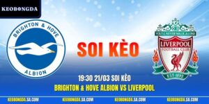Brighton & Hove Albion vs Liverpool